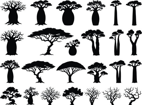 Baobab acacia african tree silhouette collection set, safari nature landscape element vector illustration white background