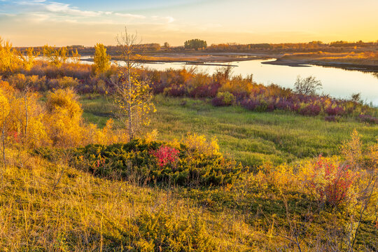 Warm Evening Sunlight Illuminates Colorful Autumn Banks of South Saskatchewan River at Cranberry Flats near Saskatoon, Canada