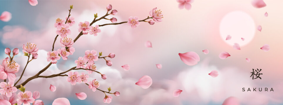 Sakura branch realistic. Pink cherry blossom. Floral spring nature, Japanese tree. Petal bloom decoration, floral element for wedding. Delicate soft buds, sunlight and clouds. Vector horizontal banner