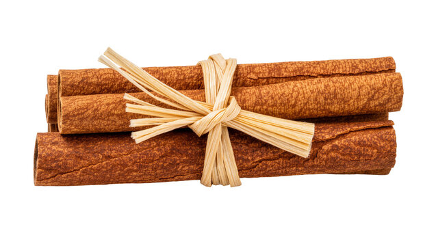 Bundled aromatic cinnamon sticks tied with natural raffia string