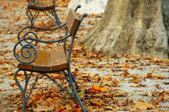 Wooden bench in the park and fallen autumn leaves on the ground, autumn colorful peaceful scene , outdoor furniture