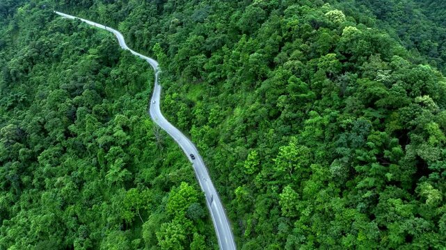 Aerial Tropical Forest Road for Sustainability Report and Green Infrastructure