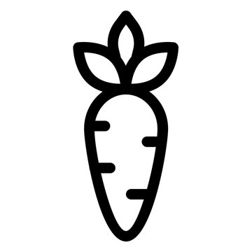 Carrot Root Fresh Orange Vegetable Line Icon