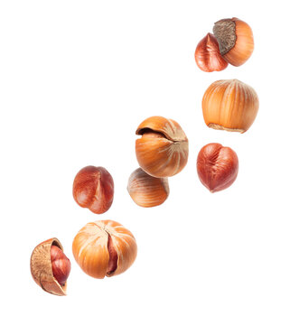 Flying whole and cracked hazelnuts with kernels falling in motion isolated on white background