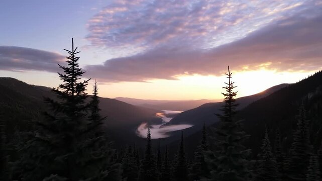 Two tall alpine evergreens rise above a forested valley where ribbons of low mist wind between layered mountain slopes, while mauve cloud sheets catch the final pale gold light of the evening sky