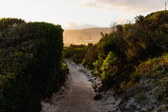 nature path , Kammabaai Beach, Hermanus, South Africa at sunset