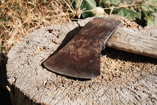 Old axe on chopping block. Worn metal blade on cut and weathered stump. Close up. Concept for maintaining and sharpening blades or cutting firewood. Selective focus.