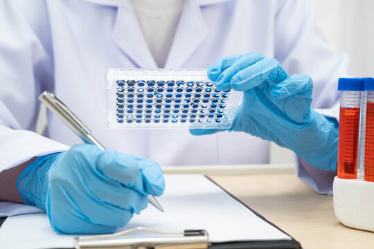 Scientist with cell culture in sample micro plate for research in science laboratory.