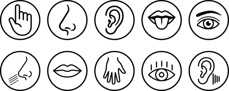 Set of five human senses icons representing touch, smell, hearing, taste, and sight