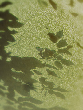 green leaf texture