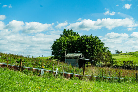 A shed stands nestled among tall grass and shrubbery with hills and cloudy sky in the background