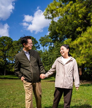Happy mature Asian couple holding hands, walking and enjoying leisure time together in green park on sunny day, happy marriage, senior love
