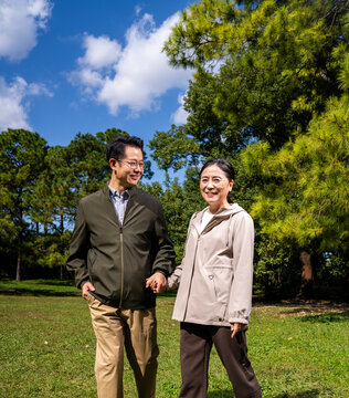 Happy mature Asian couple holding hands, walking and enjoying leisure time together in green park on sunny day, happy marriage, senior love
