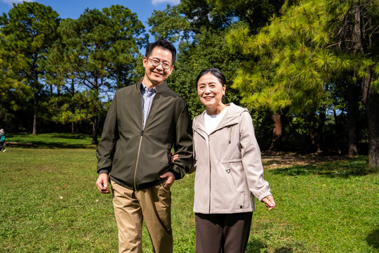 Happy mature Asian couple holding hands, walking and enjoying leisure time together in green park on sunny day, happy marriage, senior love
