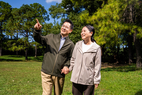 Happy mature Asian couple holding hands, walking and enjoying leisure time together in green park on sunny day, happy marriage, senior love
