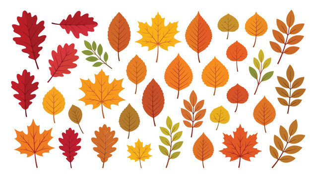 Colorful autumn leaves collection arranged in scattered pattern on plain background with shapes colors scattered