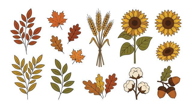 Illustrated autumn harvest plants and flowers collection in flat design style with flowers neutral background