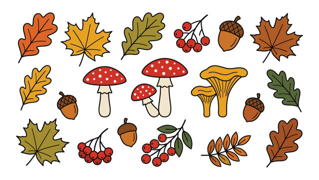 Colorful autumn forest elements illustrated in flat design style with include leaves mushrooms