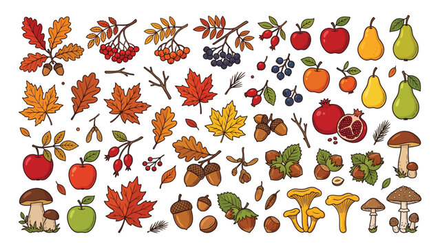Colorful autumn harvest fruits mushrooms leaves with Illustrated assortment autumn themed fruits