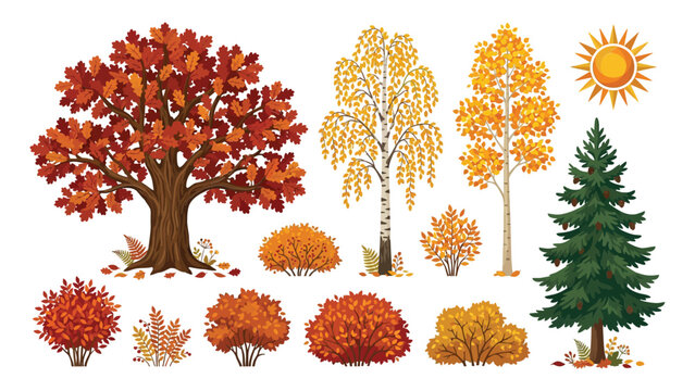 Illustrated autumn trees and foliage under bright sunny sky with cheerful sunlit setting