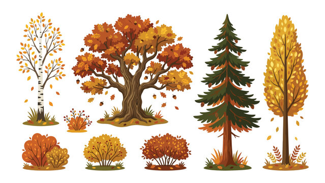 Illustrated autumn trees with colorful foliage in a forest setting with stylized forest illustration
