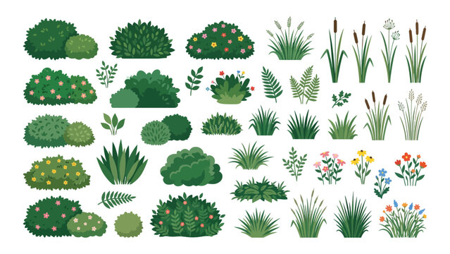 Illustrated collection of various plants and flowers in a flat design style with flowers clean visual arrangement