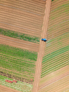 Aerial view of a tractor spraying over plantation farm