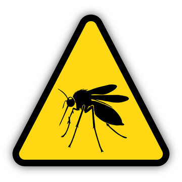 Yellow triangle warning sign for mosquitos bringing diseases. Transparent background.