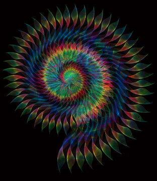 Abstarkcyjne, spiralne wielokolorowe tło organiczne w kształcie muszli na czarnym tle