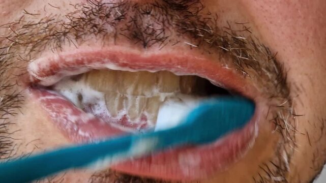 The process of brushing teeth with toothpaste. Daily oral hygiene of a man. A man with bristles brushes his teeth with a brush with the formation of white foam from the paste. Personal hygiene