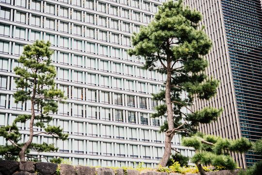 Modern scyscrapers in the centre of Tokyo, Japan.
