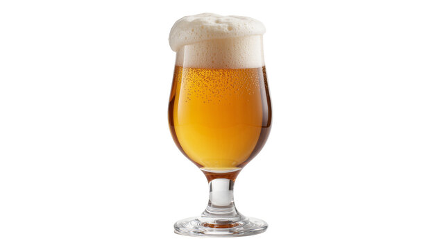 Golden amber lager beer with thick white foam head, isolated on transparent background