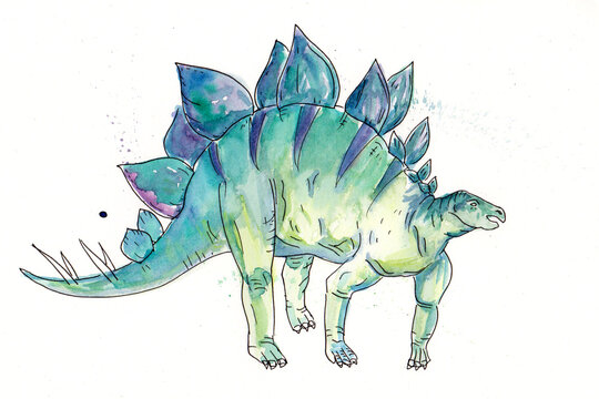Eine Illustration von einem Stegosaurier, Dinosaurer, Aquarell mit Tuschestift, freundlich