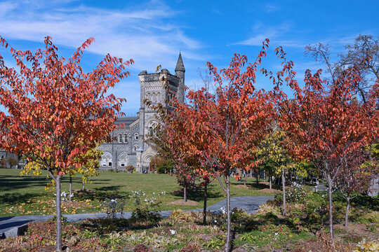 Trees in brilliant fall colors surround a footpath at the University of Toronto, with the medieval style University College building in the background