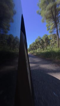 Vertical Side View Drive on Rural Pine Road in Zamora
