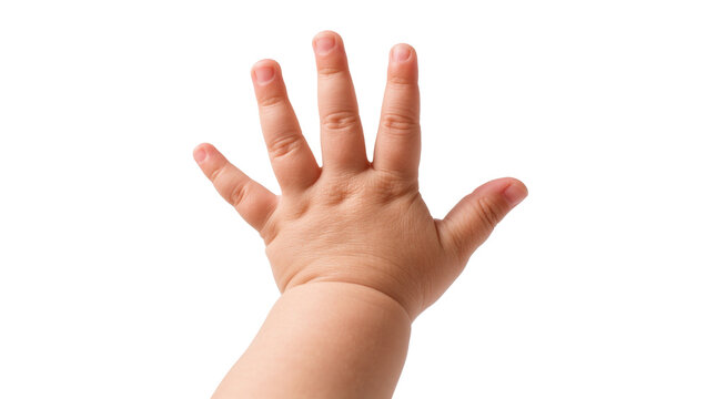 Baby s open hand showing five fingers, isolated on transparent background