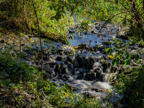 Small rushing stream flowing over rocks through dense green foliage and trees in nature