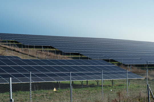 Solar panels are set up in a field. The sun is shining on the solar panels.