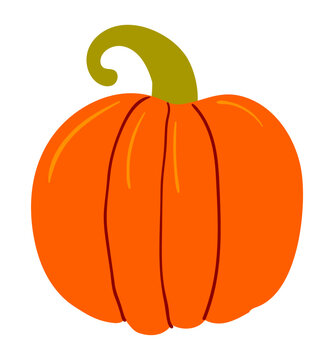 Thanksgiving pumpkin, squash illustration isolated. Traditional holiday food design elements, clip art, hand drawn vector. Family dinner ingredient, autumn vegetable, harvest festival, farmers market