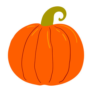 Thanksgiving pumpkin, squash illustration isolated. Traditional holiday food design elements, clip art, hand drawn vector. Family dinner ingredient, autumn vegetable, harvest festival, farmers market