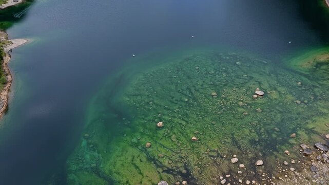 Aerial top view on forest. Nature landscape. Lake in scenic nature. Scenic nature and hiking lake. Green tree forest from top. Lake with green landscape. Landscape of idyllic forest at lake