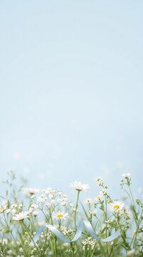 Beautiful spring daisies and baby breath flowers with a blue ribbon on a soft light blue background