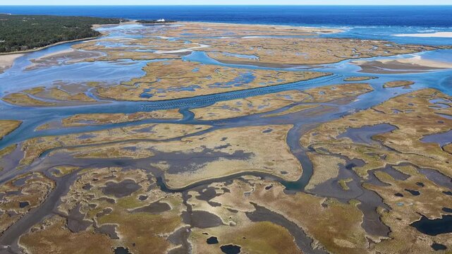 Winding channels meander through a scenic salt marsh growing on Cape Cod, Massachusetts. Salt marshes are an incredibly important coastal habitat used by many species of fish, birds, and shellfish.