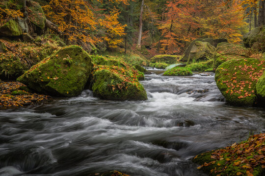 The image depicts a mountain stream with rapids and large, moss-covered rocks in an autumn forest .