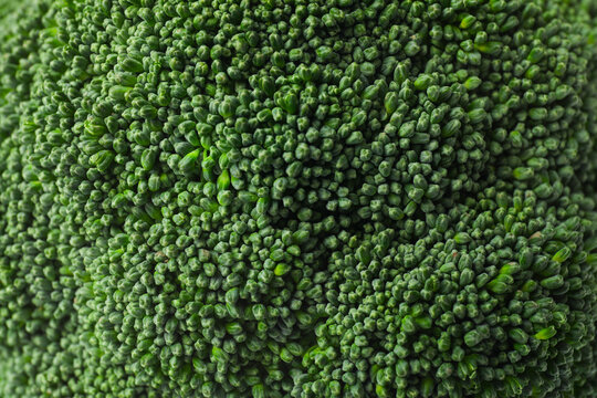 Healthy food. Broccoli florets display rich green colors and intricate textures