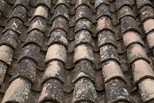 A close view of weathered clay roof tiles mottled with lichen and patches of green moss