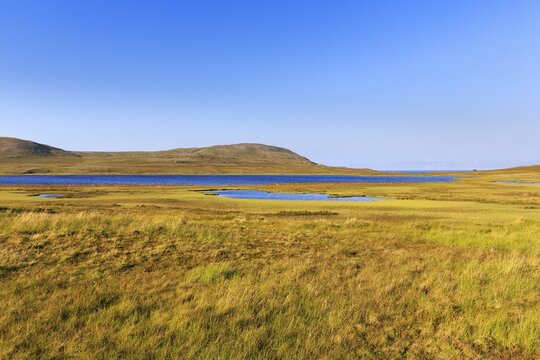 Barren landscape with meadows and glacial lakes, near Mager&oslash;ya, Nordkapp Municipality, Finnmark County, Norway