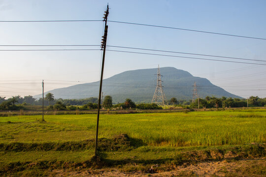 Panchet Hills dominate the scenic countryside, overlooking lush green fields, grazing cattle, palm trees, and electric transmission towers beneath a clear sky
