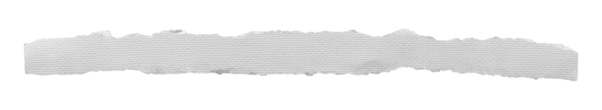 Long horizontal strip of torn white textured paper with rough edges isolated on transparent background