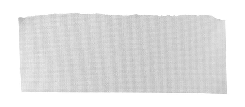 White textured torn paper strip with rough edges isolated on transparent background